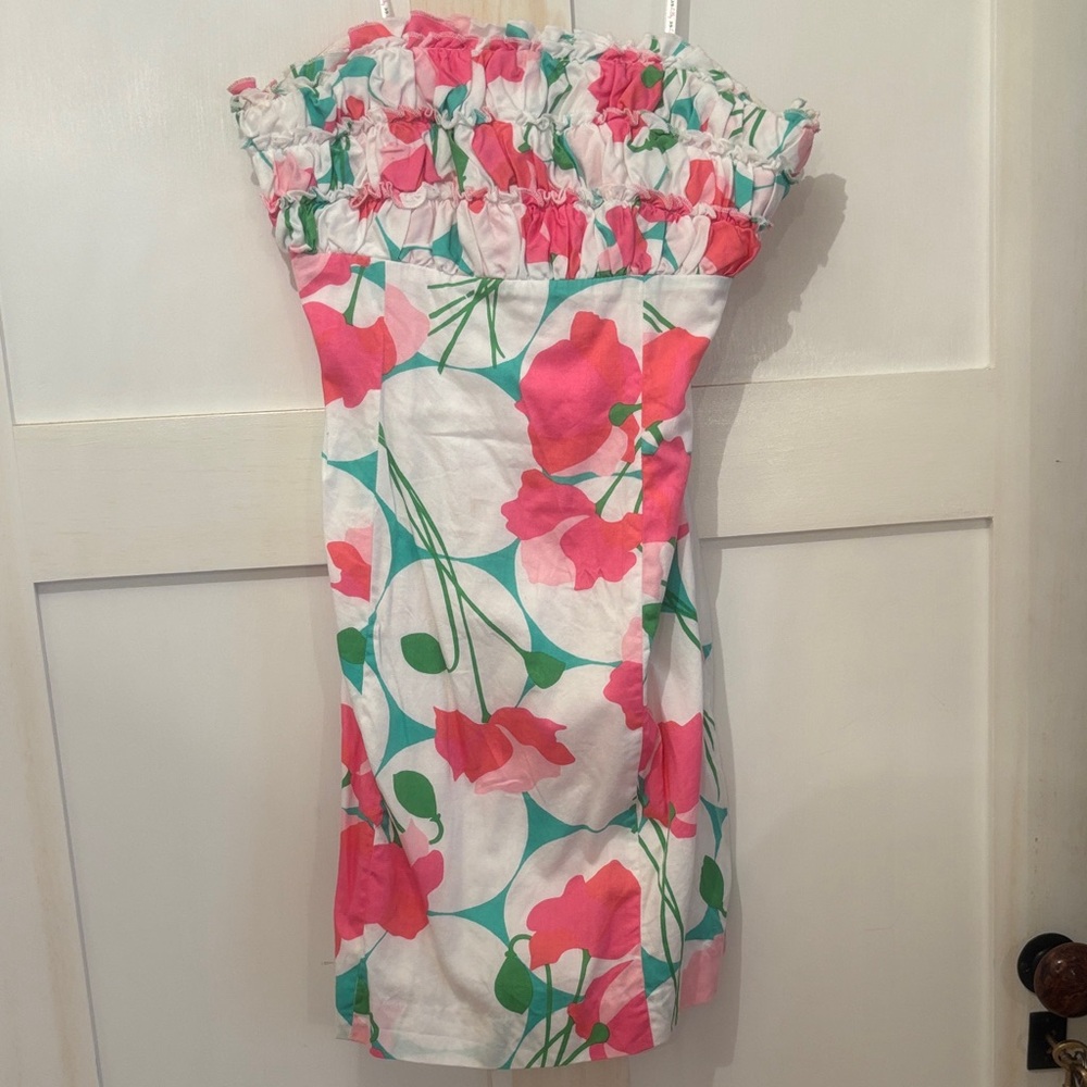 Lilly Pulitzer Franco Mini Dress in Had Me a Blast.  Size 0.